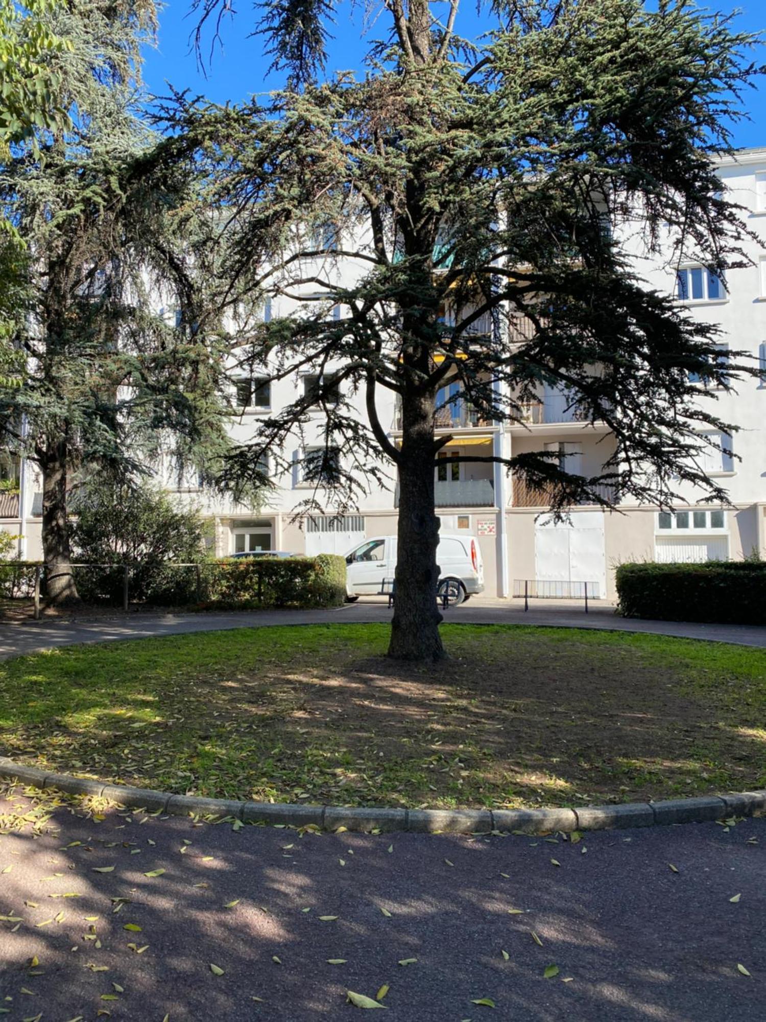 Appartement Rosaluz 蒙彼利埃 外观 照片